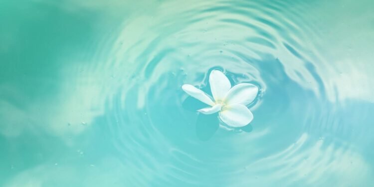 A delicate white flower floating on calm, rippling water, creating a peaceful and serene scene.