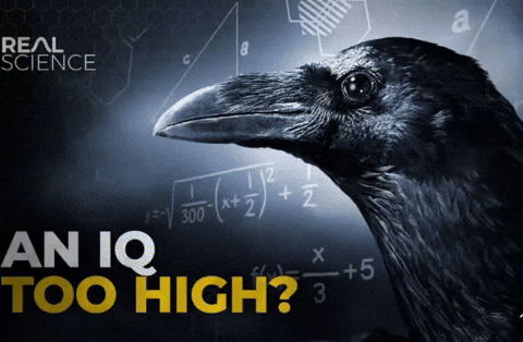 Risvegliarsi Oggi: Geopolitica, Coscienza e Responsabilità Individuale