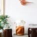 Glass jars with infused liqueurs with ingredients placed on wooden table near green plant near wall with decorations at home